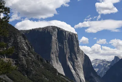 DSC_4323 (Large).JPG